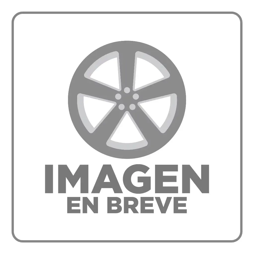 RIN 15X6.5 4-100 R1 SPORT 5023 SILVER MACINE FACE + MILLING LETTERS ET40 CB73.1